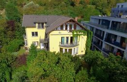 Casa 450 mp utili, 1000 mp teren, Grigorescu, gradinita, clinica, pensiune!