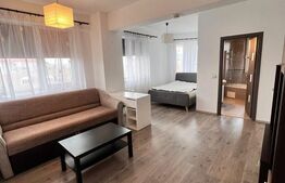 Apartament 1 camera, 48 mp si 28 mp terasa, complex Vision