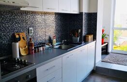 Apartament 1 camera, 48 mp si 28 mp terasa, complex Vision