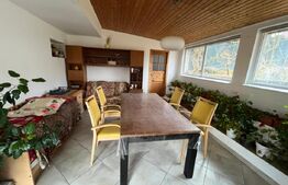 Casa deosebita, 180 mp utili, curte, teren 800 mp, zona Faget