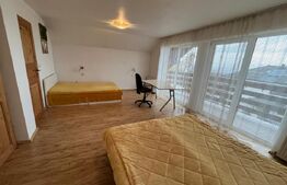 Casa deosebita, 180 mp utili, curte, teren 800 mp, zona Faget
