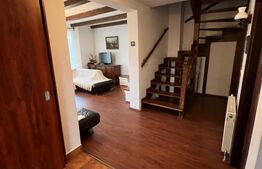 Casa deosebita, 180 mp utili, curte, teren 800 mp, zona Faget