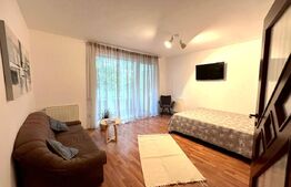 Apartament cu 1 camera, decomandat, 37mp, etajul 1, parcare, zona Centrala