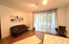 Apartament cu 1 camera, decomandat, 37mp, etajul 1, parcare, zona Centrala