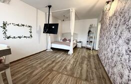 Garsoniera - zona Garii