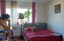 Vila individuala in Mihai Viteazu!