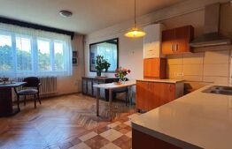 Vila individuala in Mihai Viteazu!