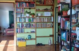 Vila individuala in Mihai Viteazu!