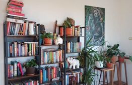 Vila individuala in Mihai Viteazu!