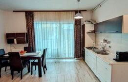 Apartament 2 camere, parcare,50mp zona Buna ziua