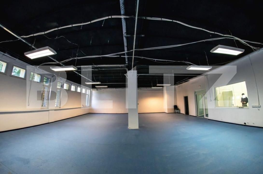 Spațiu birouri de închiriat Iris - 161805SIB | BLITZ Cluj-Napoca | Poza1