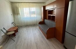 Garsoniere 22 mp, cartier Iris