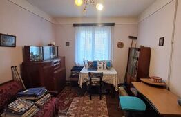 Casa singur in curte 91 mp+posib mansardare si gradina, Tractoru