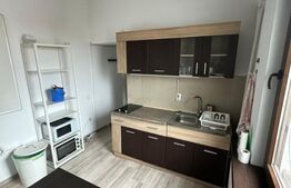 Apartament 1 camera, 35 mp, zona Centru, UMF