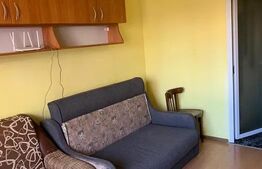 Garsoniera, 22mp, zona strazii Plevnei