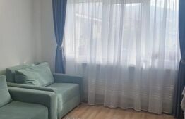 Apartament mobilat si utilat, gradina de 30 mp, 2 parcari, zona Teilor