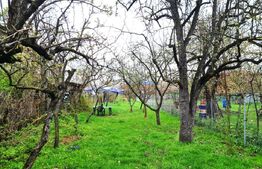 Casa renovabila, 80 mp utili, teren 900 mp, Zona Maramuresului