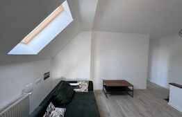  Casa individuala, finisata, 192 mp utili, Dambul -Rotund 