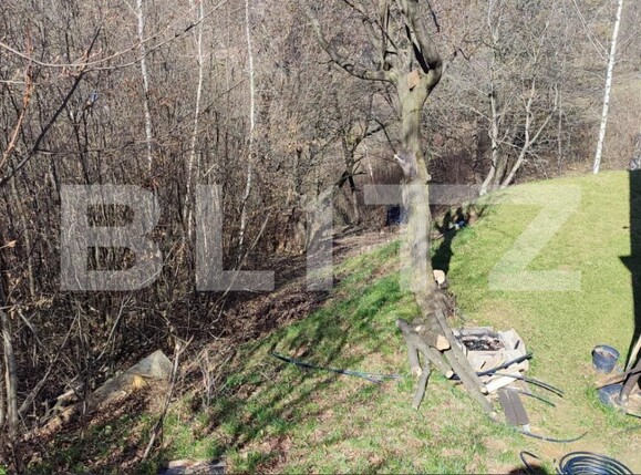 Teren de vânzare Poiana Brasov - 162057TV | BLITZ Brașov | Poza2