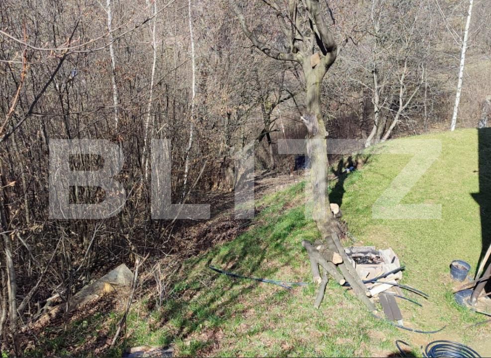 Teren de vânzare Poiana Brasov - 162057TV | BLITZ Brașov | Poza2