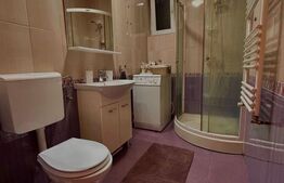 Apartament 2 camere, decomandat, pet friendly,  Zona Centrala