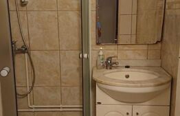 Apartament cu o camera, 25 mp, centrala termica proprie, zona Minerva