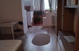 Apartament cu o camera, 28 de mp, mobilat ulitat, zona Manastur 