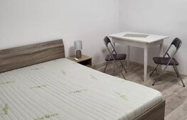 Apartament cu o camera, 28 de mp, mobilat ulitat, zona Manastur 
