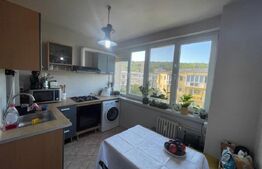 Apartament cu 3 camere, etaj intermediar zona Alexandru Vlahuta 