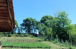 Casa renovabila, 1508 mp teren, Vultureni