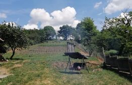 Casa renovabila, 1508 mp teren, Vultureni