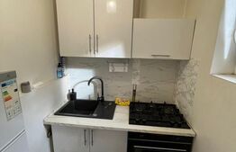 Apartament 2 camere, pet frendly, parcare, zona Hotel Royal