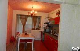 Apartament cu 1 camera, 40 mp, decomandat, zona Terra! Gradina de 43.5 mp!