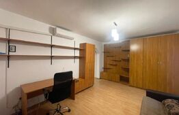 Apartament 2 camere, 54 mp, A.C., Pet friendly, Iulius Mall