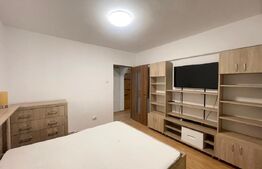 Apartament 2 camere, 54 mp, A.C., Pet friendly, Iulius Mall