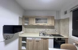 Apartament 2 camere, 54 mp, A.C., Pet friendly, Iulius Mall