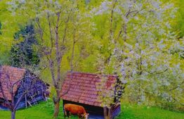 Teren intravilan agricol in Bran - Brasov