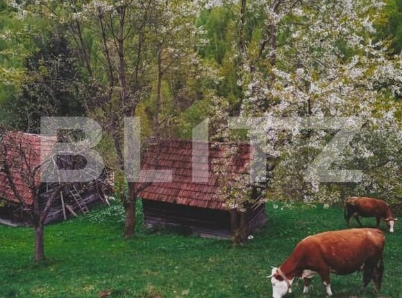 Teren de vânzare Bran - 162232TV | BLITZ Brașov | Poza3