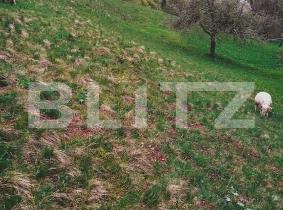 Teren de vânzare Bran - 162232TV | BLITZ Brașov | Poza2