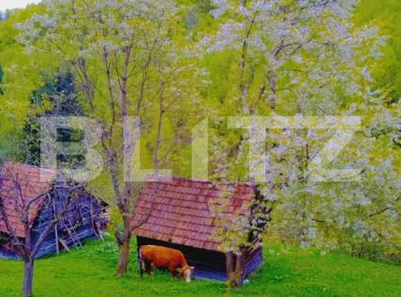 Teren de vânzare Bran - 162232TV | BLITZ Brașov | Poza1