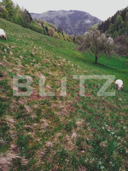 Teren de vânzare Bran - 162232TV | BLITZ Brașov | Poza2