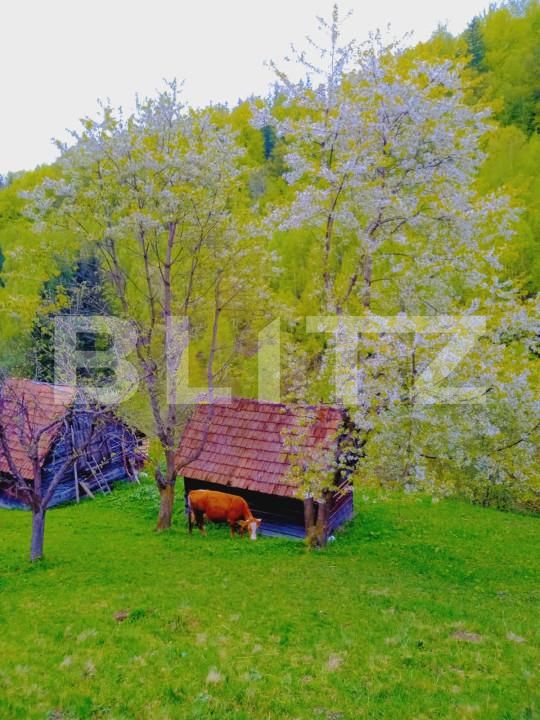 Teren de vânzare Bran - 162232TV | BLITZ Brașov | Poza1