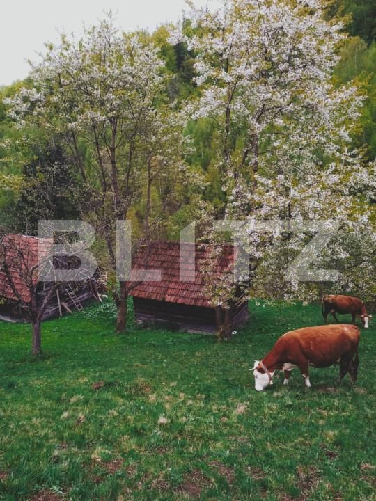 Teren de vânzare Bran - 162232TV | BLITZ Brașov | Poza3