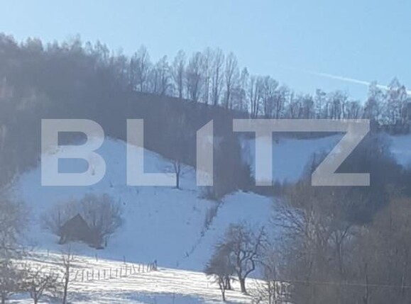 Teren de vânzare Bran - 162234TV | BLITZ Brașov | Poza2