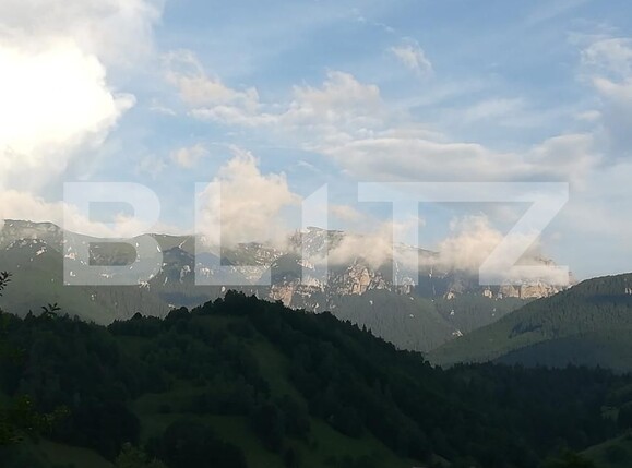 Teren de vânzare Bran - 162234TV | BLITZ Brașov | Poza3