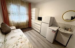 Camera de camin, 12 mp, zona mall Afi