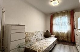 Camera de camin, 12 mp, zona mall Afi