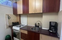 Garsoniera semidecomandata, 33 mp, zona Marasti 