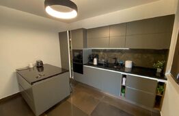 Apartament 2 camere, 55 mp, decomandat, centru