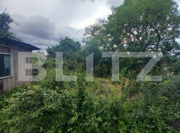 Casa de vânzare 2 camere Gheorgheni - 162284CV | BLITZ Cluj-Napoca | Poza3